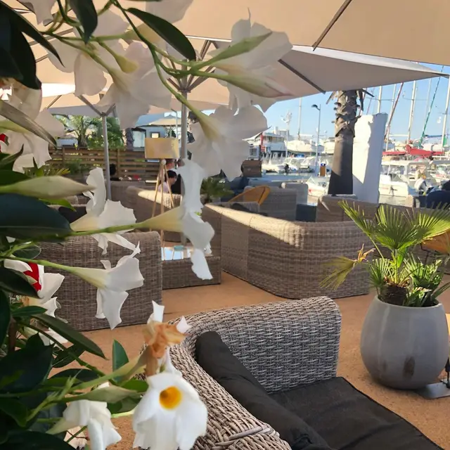 Moment au Flibustier Port de Taverna 22