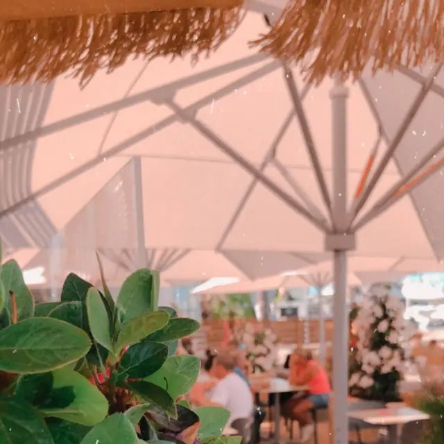 Moment au Flibustier Port de Taverna 25